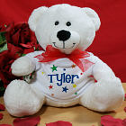A Star is Born Plush Teddy Bear TB1408x